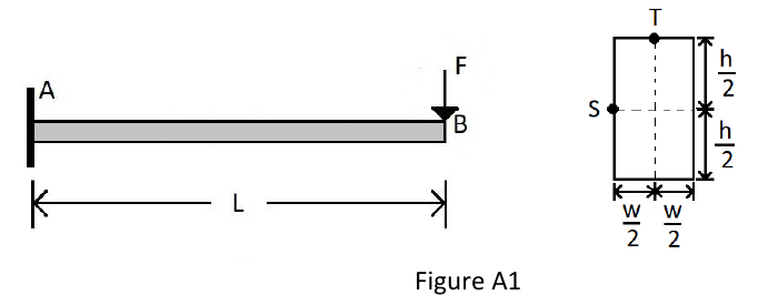 Figure A1: cantilever AB of length L fixed at A with transverse load F at B; rectangular section w x h with point S at mid-height of a side and T at the top.