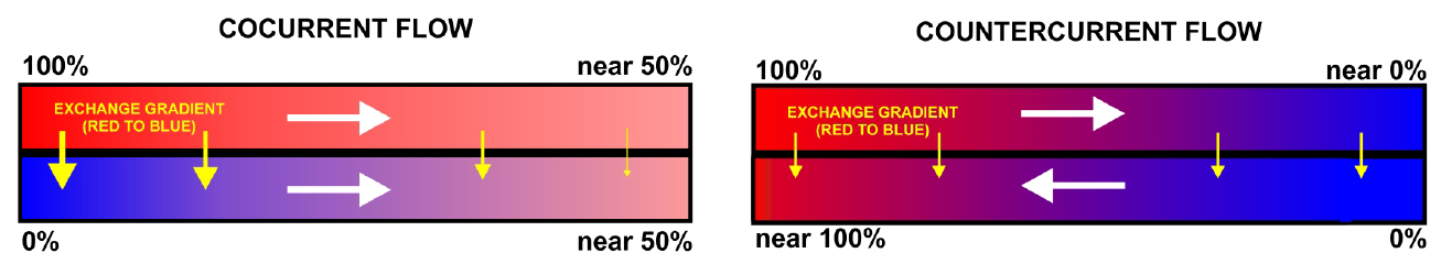 Figure 1: cocurrent flow (both streams leave near the mean temperature) and countercurrent flow (each stream can leave near the other's inlet temperature) (Lecture 14, slide 5).