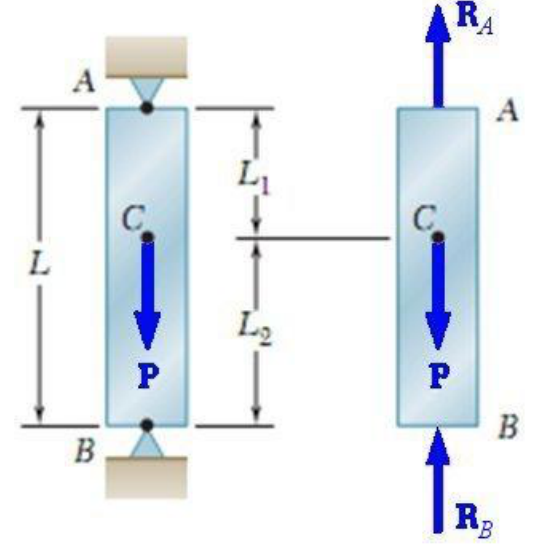 Left: vertical bar AB between rigid supports at A (top) and B (bottom), with a downward load P at C; AC = L1, CB = L2, total length L. Right: free-body diagram with upward reactions R_A at A and R_B at B.